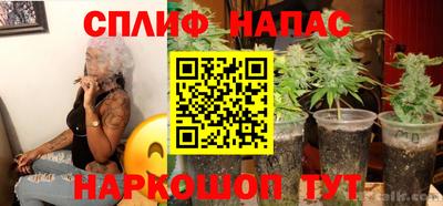 гидра Пугачёв