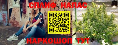 тгк Пушкино