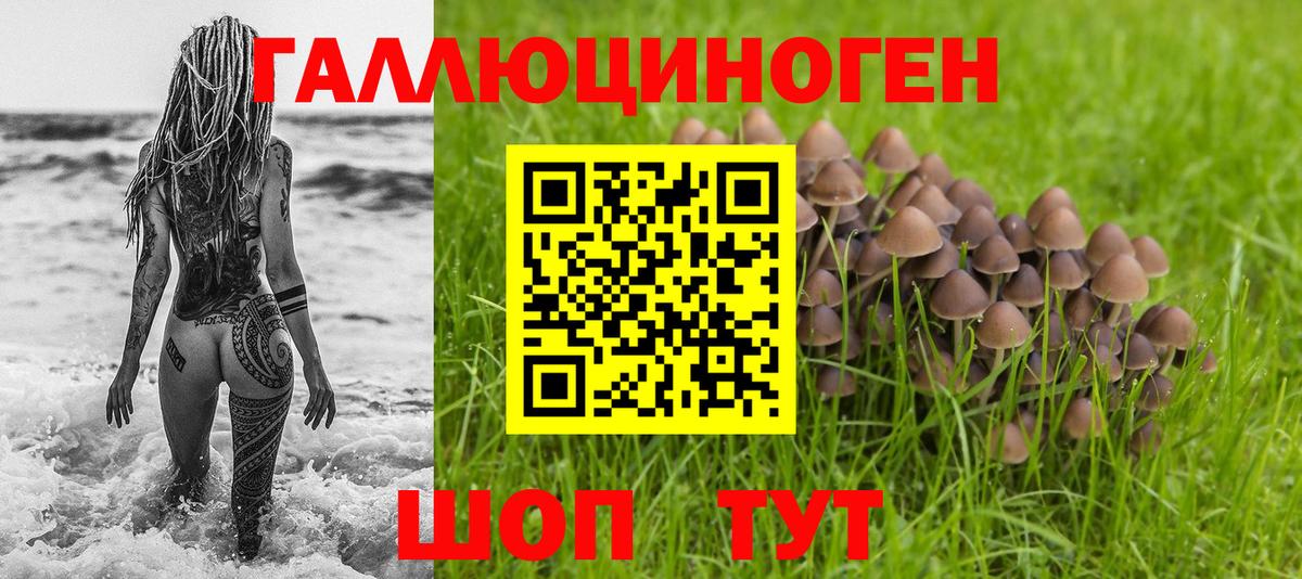 Севастополь  Галлюциногенные грибы MAGIC MUSHROOMS  Вход с VPN 